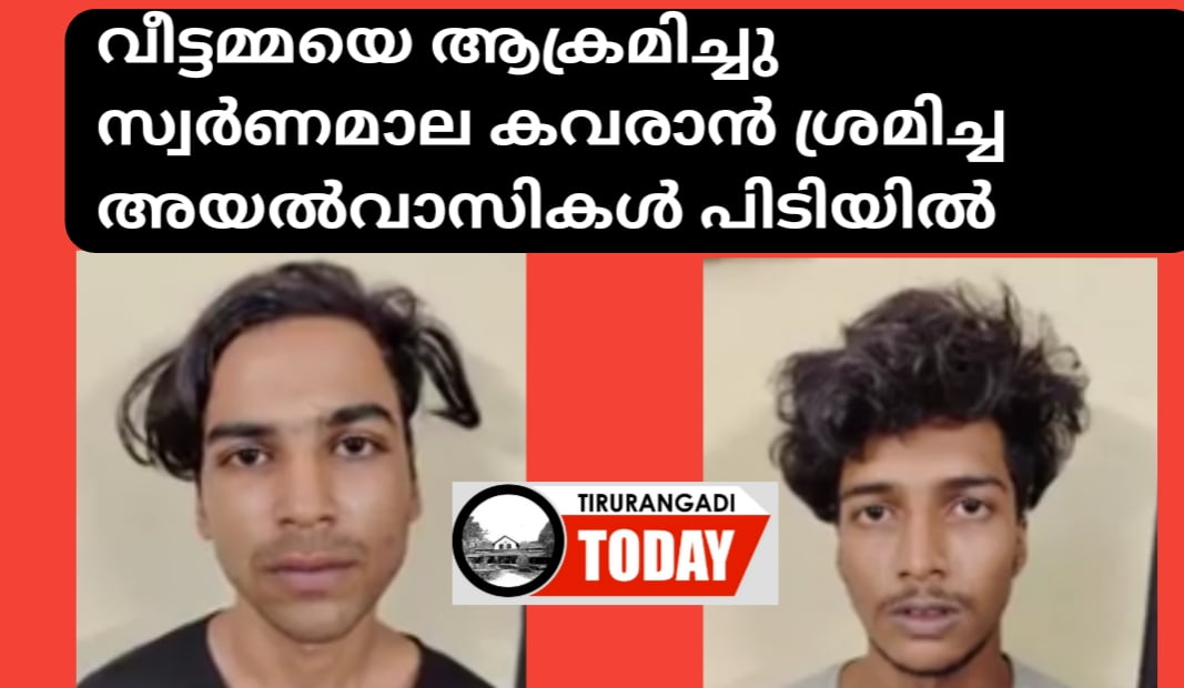 വീട്ടമ്മയെ ആക്രമിച്ചു സ്വർണ മാല കവർന്ന കേസിൽ 2 യുവാക്കൾ പിടിയിൽ