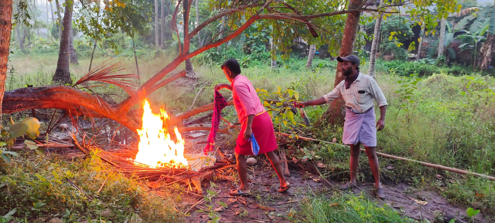 നാട്ടുകാർക്ക് ഭീഷണിയായ തേനീച്ചക്കൂട് നീക്കം ചെയ്തു