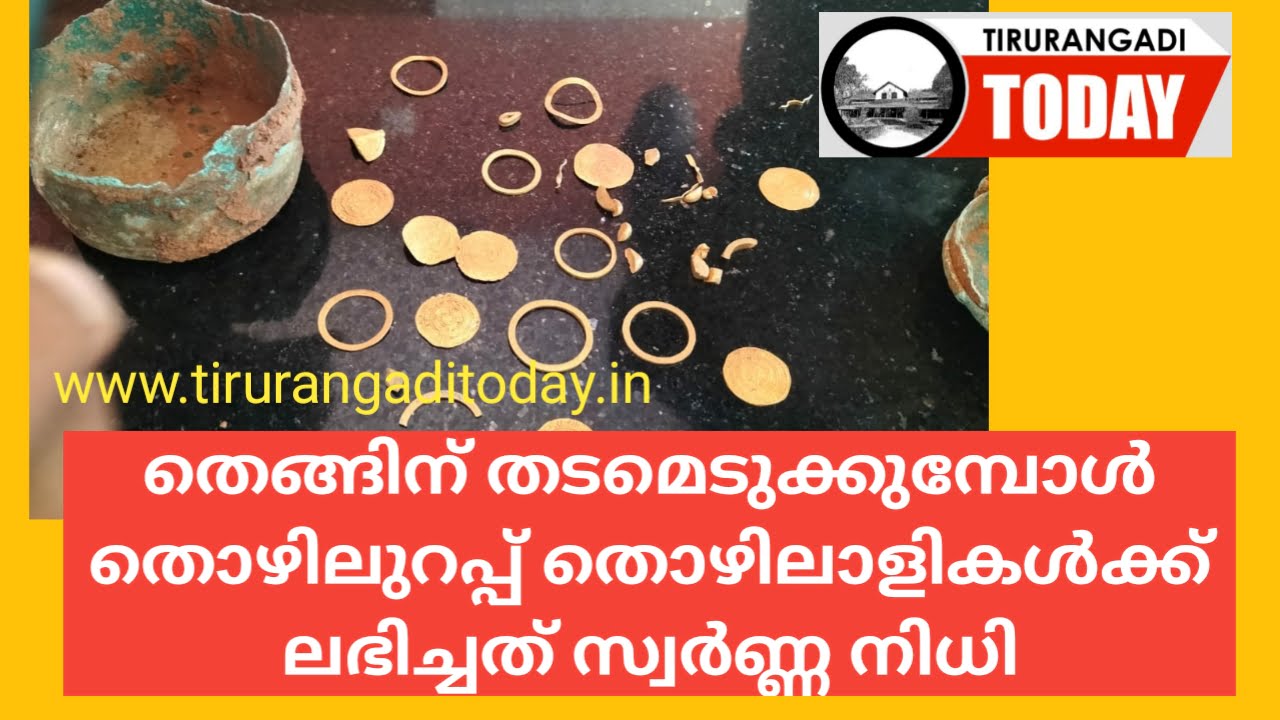 തെങ്ങിന് തടമെടുക്കുമ്പോൾ വീട്ടുവളപ്പിൽ ‘നിധി’, മനസ്സ് മഞ്ഞളിക്കാതെ തൊഴിലുറപ്പ് തൊഴിലാളികളും വീട്ടുകാരും