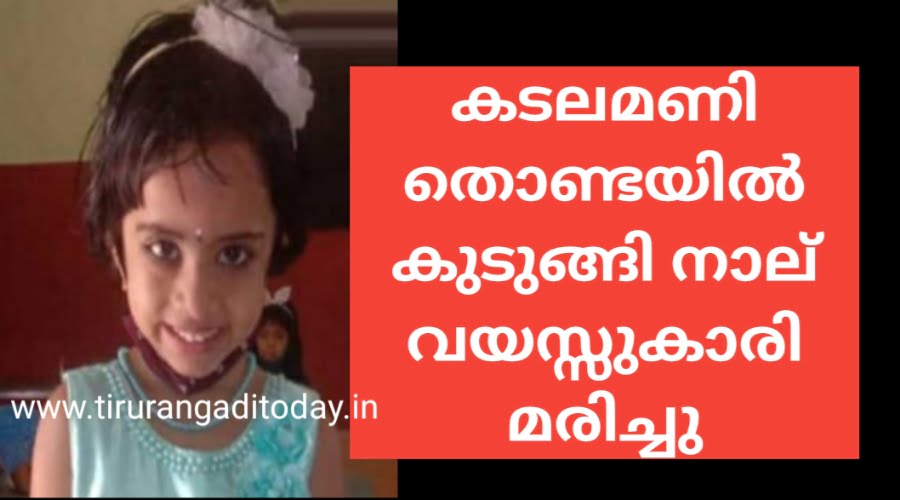 കടലമണി തൊണ്ടയിൽ കുടുങ്ങി നാല് വയസ്സുകാരി മരിച്ചു