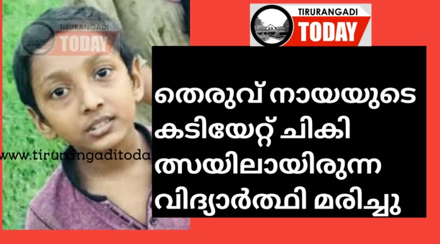 തെരുവ് നായയുടെ കടിയേറ്റ് ചികിത്സയിലായിരുന്ന വിദ്യാർത്ഥി മരിച്ചു