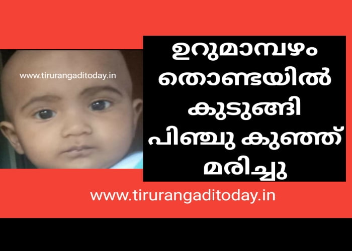 ഉറുമാമ്പഴം തൊണ്ടയിൽ കുടുങ്ങി പിഞ്ചു കുഞ്ഞ് മരിച്ചു