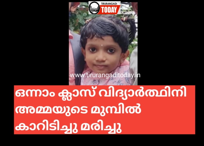 അമ്മക്ക് മുമ്പിൽ ആറു വയസ്സുകാരി കാറിടിച്ചു മരിച്ചു