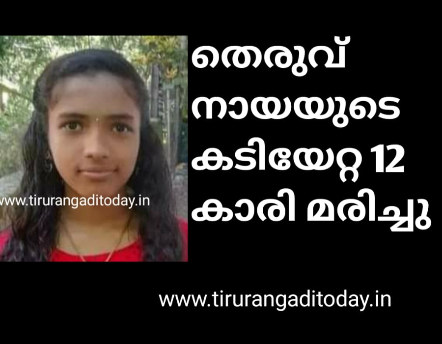 തെരുവ് നായയുടെ കടിയേറ്റ 12 കാരി മരിച്ചു