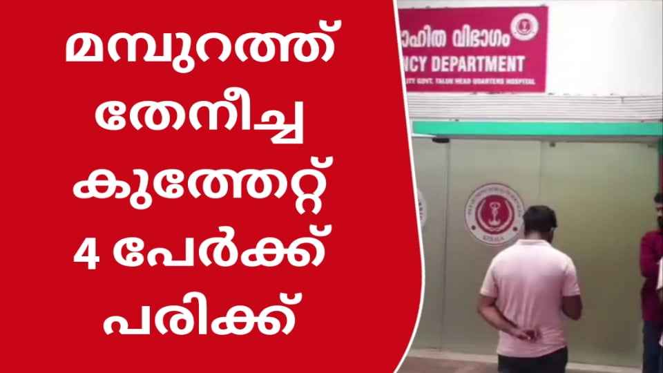 മമ്പുറത്ത് തേങ്ങയിടുന്നതിനിടെ തേനീച്ചയുടെ ആക്രമണം; 4 പേർക്ക് പരിക്ക്