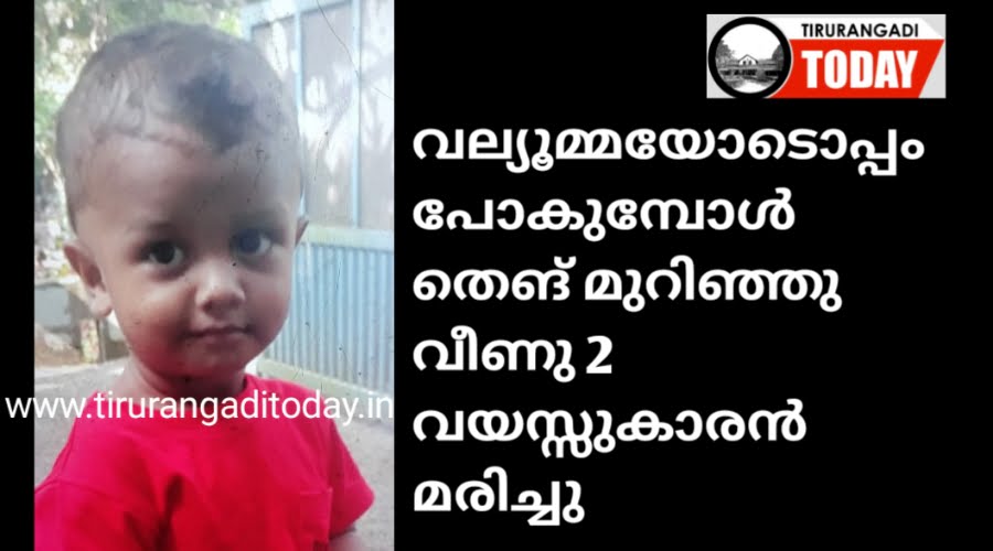 വല്യൂമ്മയോടൊപ്പം പോകുമ്പോൾ തെങ് മുറിഞ്ഞു വീണു 2 വയസ്സുകാരൻ മരിച്ചു