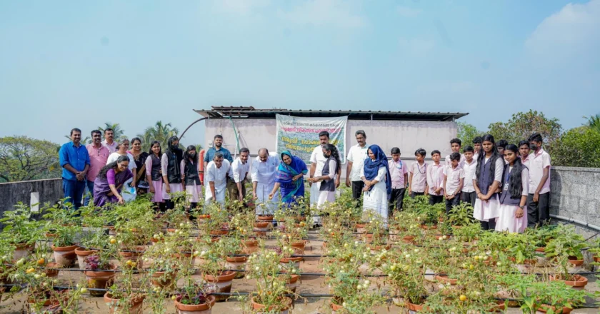 വിഷരഹിത ഉച്ചഭക്ഷണവുമായി കെ എം എച്ച്എസ്എസ് കുറ്റൂർ നോർത്ത്