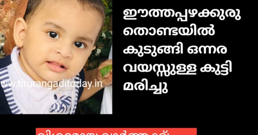 ഈത്തപ്പഴക്കുരു തൊണ്ടയിൽ കുടുങ്ങി ഒന്നര വയസ്സുള്ള കുട്ടി മരിച്ചു