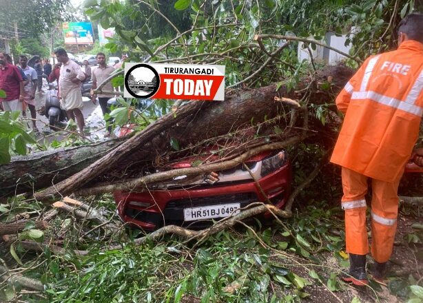 ഓടിക്കൊണ്ടിരുന്നകാറിന് മുകളിൽ മരം വീണു, തിരൂരങ്ങാടി തഹസിൽദാറും കുടുംബവും തലനാരിഴയ്ക്ക് രക്ഷപ്പെട്ടു