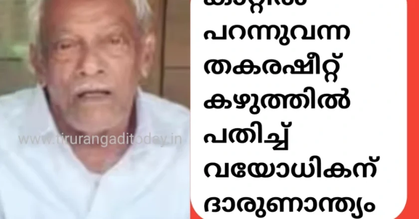 കാറ്റിൽ പറന്നുവന്ന തകരഷീറ്റ്‌ കഴുത്തിൽ പതിച്ച് വയോധികന് ദാരുണാന്ത്യം