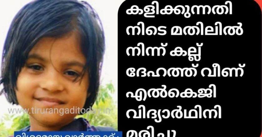 കളിക്കിടെ മതിലിൽ നിന്ന് കല്ല് ദേഹത്ത് വീണ് എൽകെജി വിദ്യാർഥിനിക്ക് ദാരുണാന്ത്യം