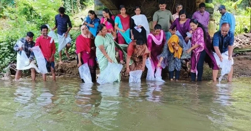 സംയോജിത മത്സ്യവിഭവ പരിപാലനം പദ്ധതിക്ക് വള്ളിക്കുന്നില്‍ തുടക്കം