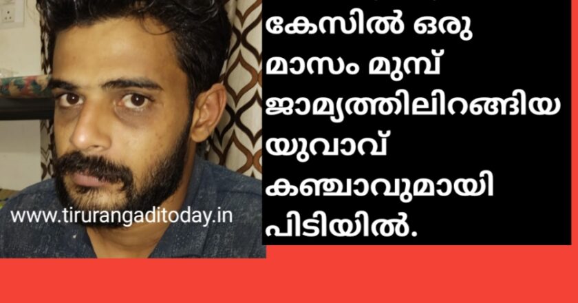 മയക്കുമരുന്ന് കേസിൽ ഒരു മാസം മുമ്പ് ജാമ്യത്തിലിറങ്ങിയ യുവാവ് കഞ്ചാവുമായി പിടിയിൽ