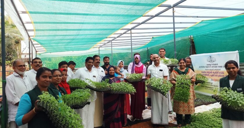 വേങ്ങര ബ്ലോക്ക് പഞ്ചായത്ത് കൃഷി ശ്രീ പദ്ധതിക്ക് തുടക്കമായി