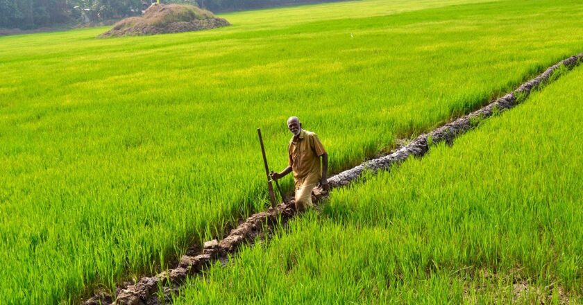 ജില്ലയിലെ തരിശുഭൂമികള്‍ കൃഷിയോഗ്യമാക്കാന്‍ നടപടികളാവുന്നു