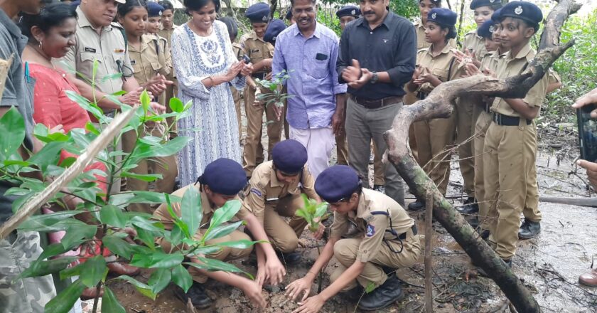 അന്തര്‍ദേശീയ കണ്ടല്‍ ദിനാചാരണം ; വിദ്യാര്‍ത്ഥികള്‍ക്കായി ഏകദിന പ്രകൃതി പഠന ക്യാമ്പ് സംഘടിപ്പിച്ചു