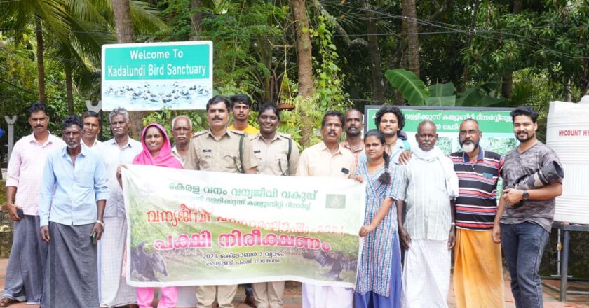 കടലുണ്ടി വള്ളിക്കുന്ന് കമ്മ്യൂണിറ്റി റിസര്‍വ്വ് മേഖലയിലെ പക്ഷി സങ്കേതത്തില്‍ പക്ഷി സര്‍വ്വേ നടത്തി ; 4 ദേശാടന പക്ഷികള്‍ ഉള്‍പ്പെടെ 20 ഇനം പക്ഷികളെ കണ്ടെത്തി