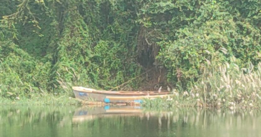 കടലുണ്ടി പുഴയില്‍ തോണി ഉപയോഗിച്ചുള്ള മണലെടുപ്പ് വ്യാപകം ; കരയിടിച്ചില്‍ വ്യാപകമായതോടെ നിരവധി വീടുകള്‍ അപകടഭീഷണിയില്‍