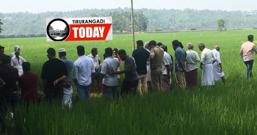 കുറ്റൂർ പാടത്ത് വയലിലെ കുഴിയിൽ വയോധികനെ മരിച്ച നിലയിൽ കണ്ടെത്തി