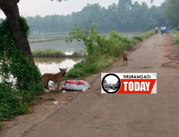 പരപ്പനങ്ങാടിയില്‍ പാടശേഖരത്തിന് സമീപം മാലിന്യം തള്ളുന്നത് പതിവാകുന്നു ; നടപടിയെടുക്കണമെന്നാവശ്യം ശക്തം