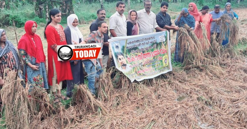 ചീർപ്പിങ്ങൽ കുടുംബശ്രീയുടെ കൊയ്ത്തുത്സവം നടത്തി