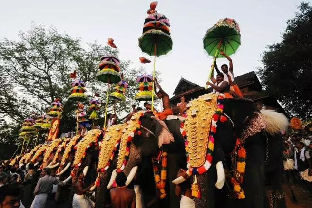 ഉത്സവങ്ങൾക്കും നേർച്ചകൾക്കും ആനകളെ എഴുന്നള്ളിക്കുന്ന വ്യവസ്ഥകൾ ജില്ലയിൽ കർശനമാക്കി