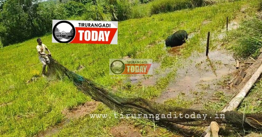 മഴ പെയ്തതോടെ അനധികൃത മീൻപിടിത്തം സജീവമായി, വലകൾ പിടിച്ചെടുത്തു