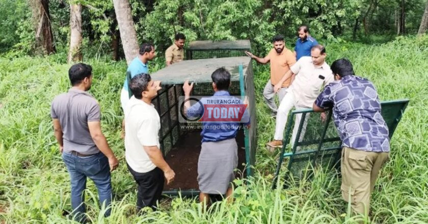 മണ്ണാർമലയിൽ പുലിയെ കണ്ട ഭാഗത്ത് കൂട് സ്ഥാപിച്ചു
