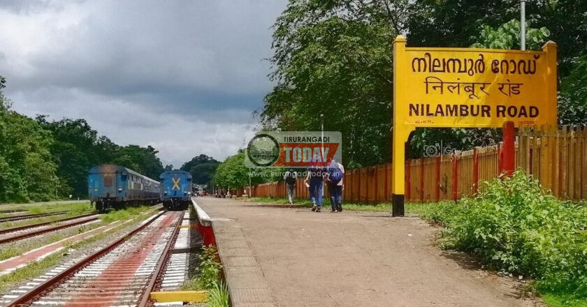 ഷൊർണൂർ- നിലമ്പൂർ പാതയിൽ മരം വീണു; ട്രെയിൻ സർവീസ് അവതാളത്തിലായി