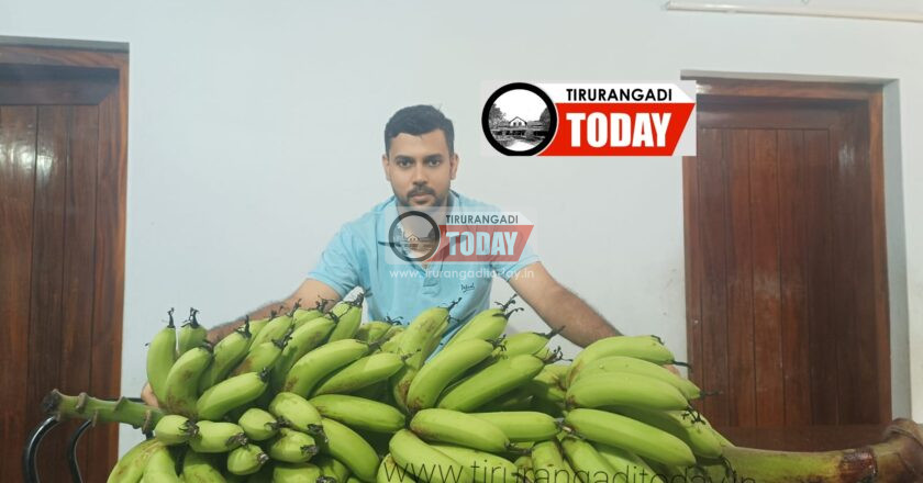 ഭീമൻ വാഴക്കുല കൗതുകമാകുന്നു
