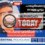 പാലൂർക്കോട്ട വെള്ളച്ചാട്ടം കാണാനെത്തിയ യുവാവ് താഴേക്ക് വീണ് മരിച്ചു; മകൻ ഉൾപ്പെടെ 2 പേർക്ക് പരിക്ക്