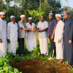 പരിസ്ഥിതി ദിനത്തിന്റെ ഭാഗമായി തിരൂരങ്ങാടിയില്‍ വിവിധ ഇടങ്ങളില്‍ വിവിധ സംഘടനകളുടെ കീഴില്‍ വൃക്ഷ തൈകള്‍ നട്ടു