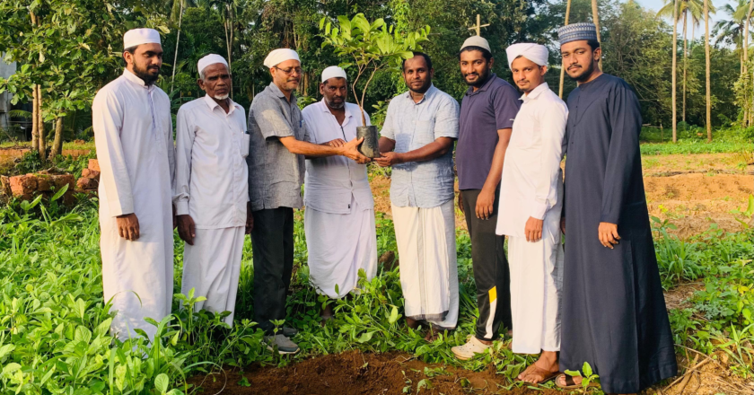 പരിസ്ഥിതി ദിനത്തിന്റെ ഭാഗമായി തിരൂരങ്ങാടിയില്‍ വിവിധ ഇടങ്ങളില്‍ വിവിധ സംഘടനകളുടെ കീഴില്‍ വൃക്ഷ തൈകള്‍ നട്ടു