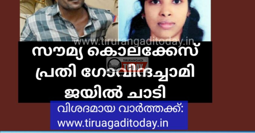 സൗമ്യ കൊലക്കേസ് പ്രതി ഗോവിന്ദച്ചാമി ജയില്‍ ചാടി