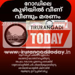 റോഡിലെ കുഴിയിൽ വീണ് വീണ്ടും മരണം, മമ്പുറം സ്വദേശിനി മരിച്ചു
