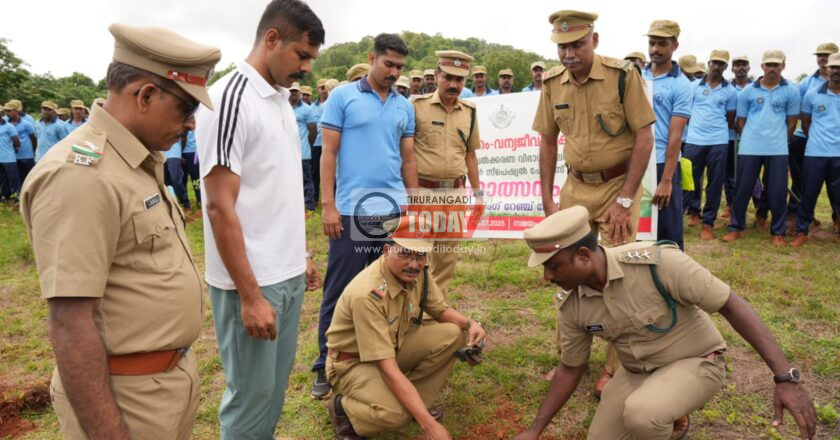 വനമഹോത്സവം ആചരിച്ചു