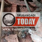 വീടിന് സമീപത്തെ വിറകുപുരയില്‍ പുലിക്കുട്ടിയെ ചത്ത നിലയില്‍ കണ്ടെത്തി