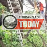 മരം മുറിക്കാന്‍ കയറി മണിക്കൂറുകളോളം കുടുങ്ങി കിടന്ന യുവാവിന് രക്ഷകരായി അഗ്നിശമന സേന