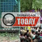 കാളികാവിലെ നരഭോജി കടുവയെ പുത്തൂര്‍ സുവോളജിക്കല്‍ പാര്‍ക്കിലെത്തിച്ചു ; സന്ദര്‍ശകര്‍ക്ക് വിലക്ക്