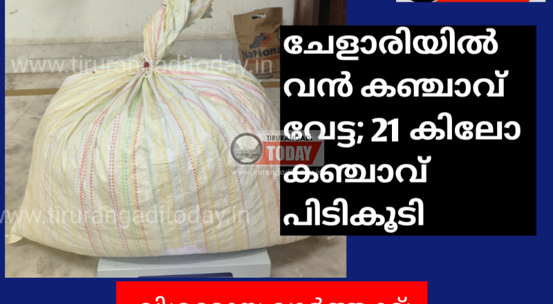 ചേളാരിയിൽ വൻ കഞ്ചാവ് വേട്ട; 21 കിലോ കഞ്ചാവ് പിടികൂടി