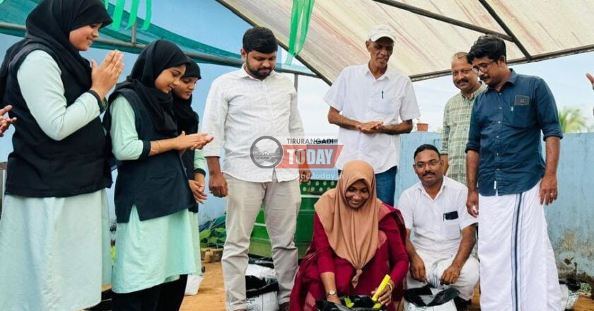 പാറക്കടവ് സ്കൂളിൽ മട്ടുപ്പാവ് കൃഷി ആരംഭിച്ചു