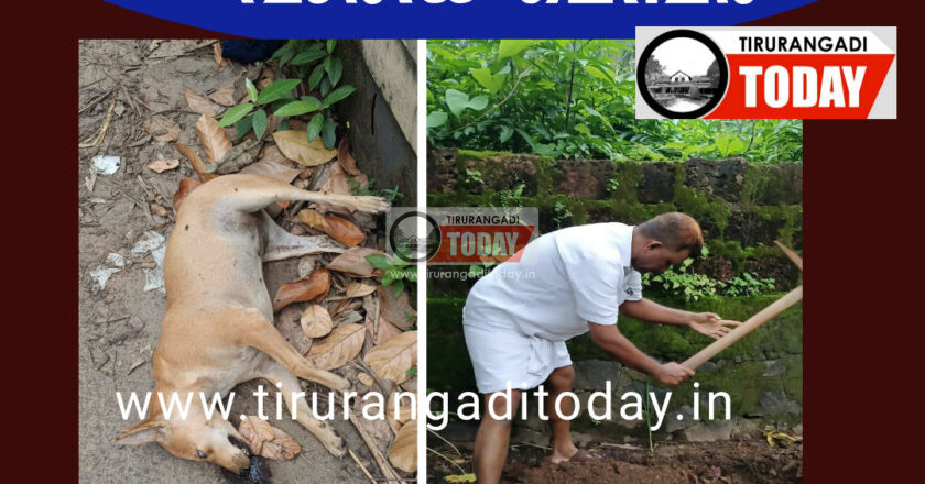 വാഹനമിടിച്ച് ചത്തുകിടന്ന നായയെ സ്വന്തമായി സംസ്കരിച്ച് വാർഡ് മെമ്പർ