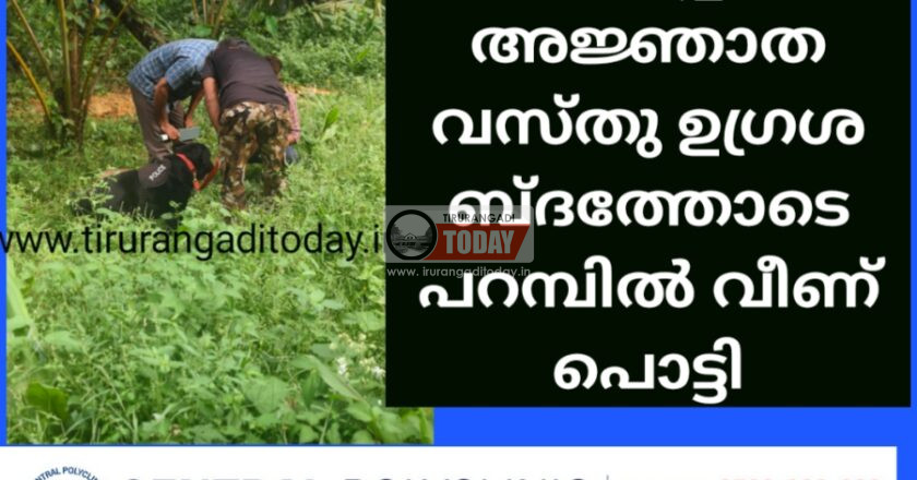 തേഞ്ഞിപ്പലത്ത് അജ്ഞാത വസ്തു ഉഗ്രശബ്ദത്തോടെ പറമ്പിൽ വീണ് പൊട്ടി