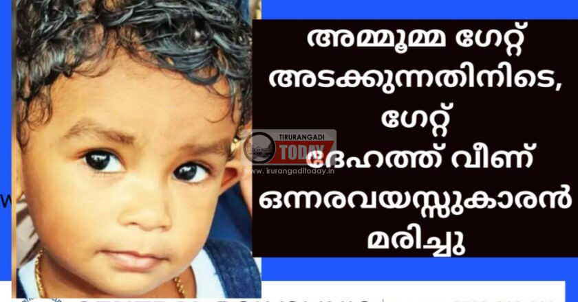 അമ്മൂമ്മ ഗേറ്റ് അടക്കുന്നതിനിടെ ഗേറ്റ് ദേഹത്ത് വീണ് ഒന്നരവയസ്സുകാരൻ മരിച്ചു