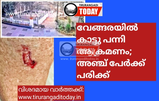 വേങ്ങരയിൽ കാട്ടു പന്നി ആക്രമണം; അഞ്ച് പേർക്ക് പരിക്ക്
