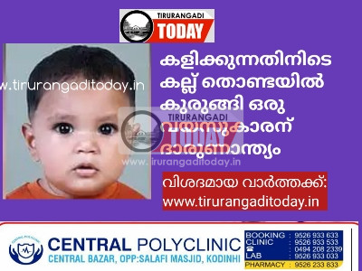 കളിക്കുന്നതിനിടെ കല്ല് തൊണ്ടയിൽ കുരുങ്ങി ഒരു വയസുകാരന് ദാരുണാന്ത്യം