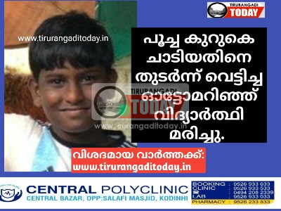 പൂച്ച കുറുകെ ചാടിയതിനെ തുടർന്ന് വെട്ടിച്ച ഓട്ടോമറിഞ്ഞ് വിദ്യാർത്ഥി മരിച്ചു.