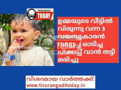 വല്യുപ്പ ഓടിച്ച പിക്കപ്പ് വാൻ തട്ടി 3 വയസുകാരൻ മരിച്ചു