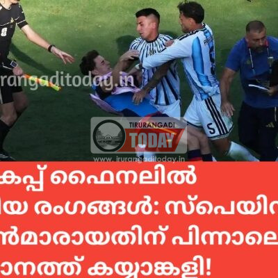 ലോകകപ്പ് ഫൈനലില്‍ നാടകീയ രംഗങ്ങള്‍: സ്പെയിൻ ചാമ്പ്യൻമാരായതിന് പിന്നാലെ മൈതാനത്ത് കയ്യാങ്കളി!