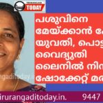 പശുവിനെ മേയ്ക്കാൻ പോയ യുവതി, പൊട്ടിവീണ വൈദ്യുതി ലൈനിൽ നിന്ന് ഷോക്കേറ്റ് മരിച്ചു
